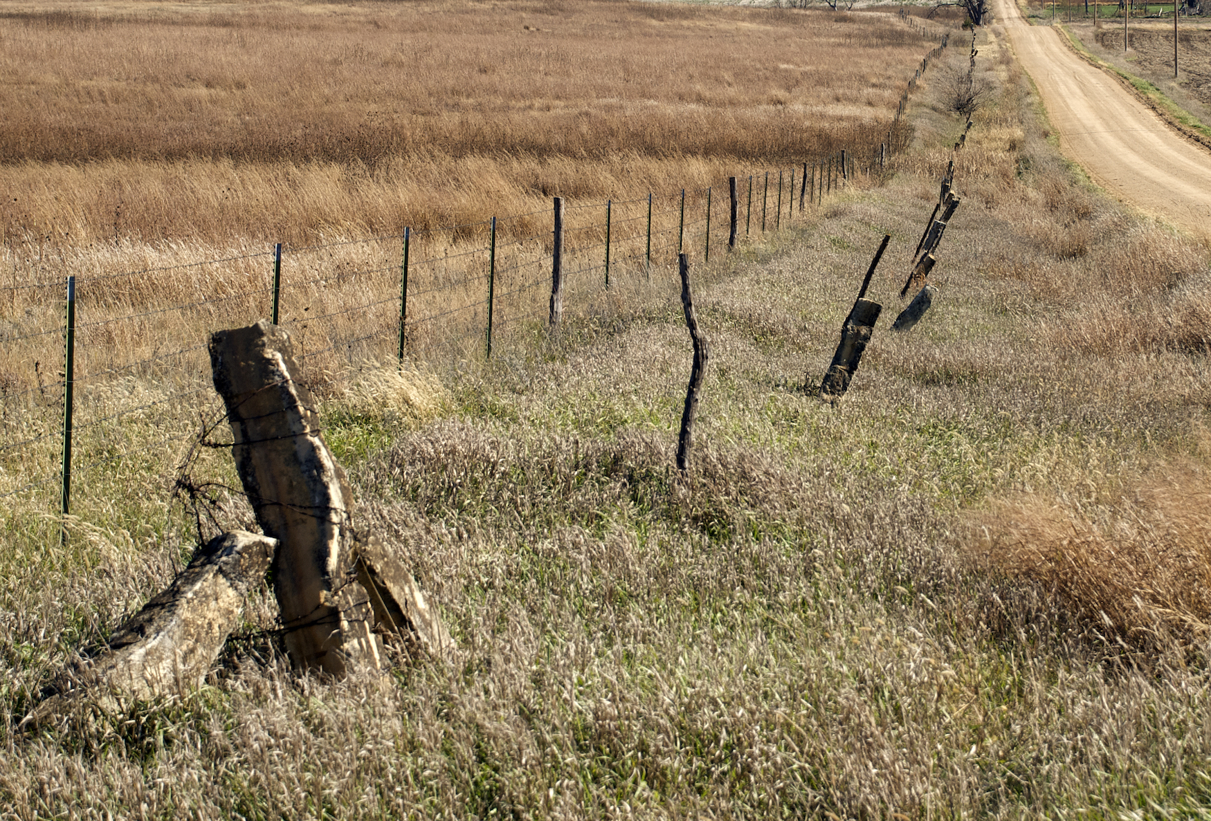 "Fence-post limestone in Lincoln County"
