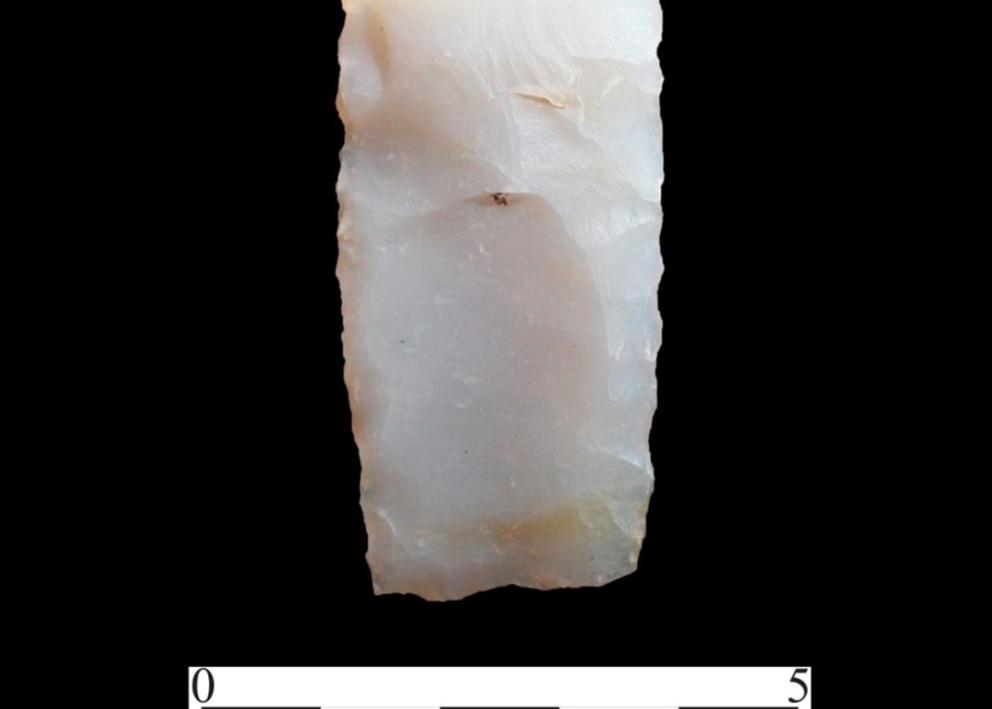 The base of a Clovis projectile point preform discovered at GLD.