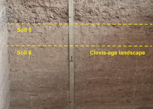 South wall of the 2020 Odyssey excavation block showing buried soils and associated cultural affiliations.