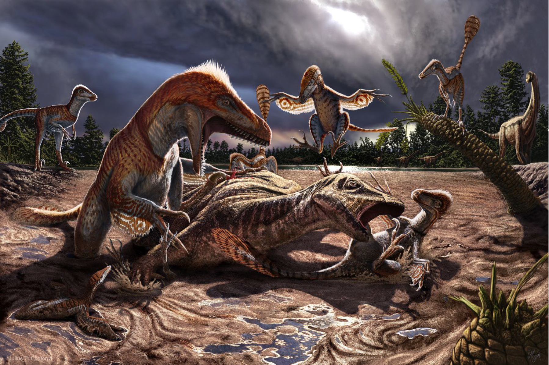 "Illustration of Utahraptors and prey trapped in quicksand deposit at Utahraptor Ridge."