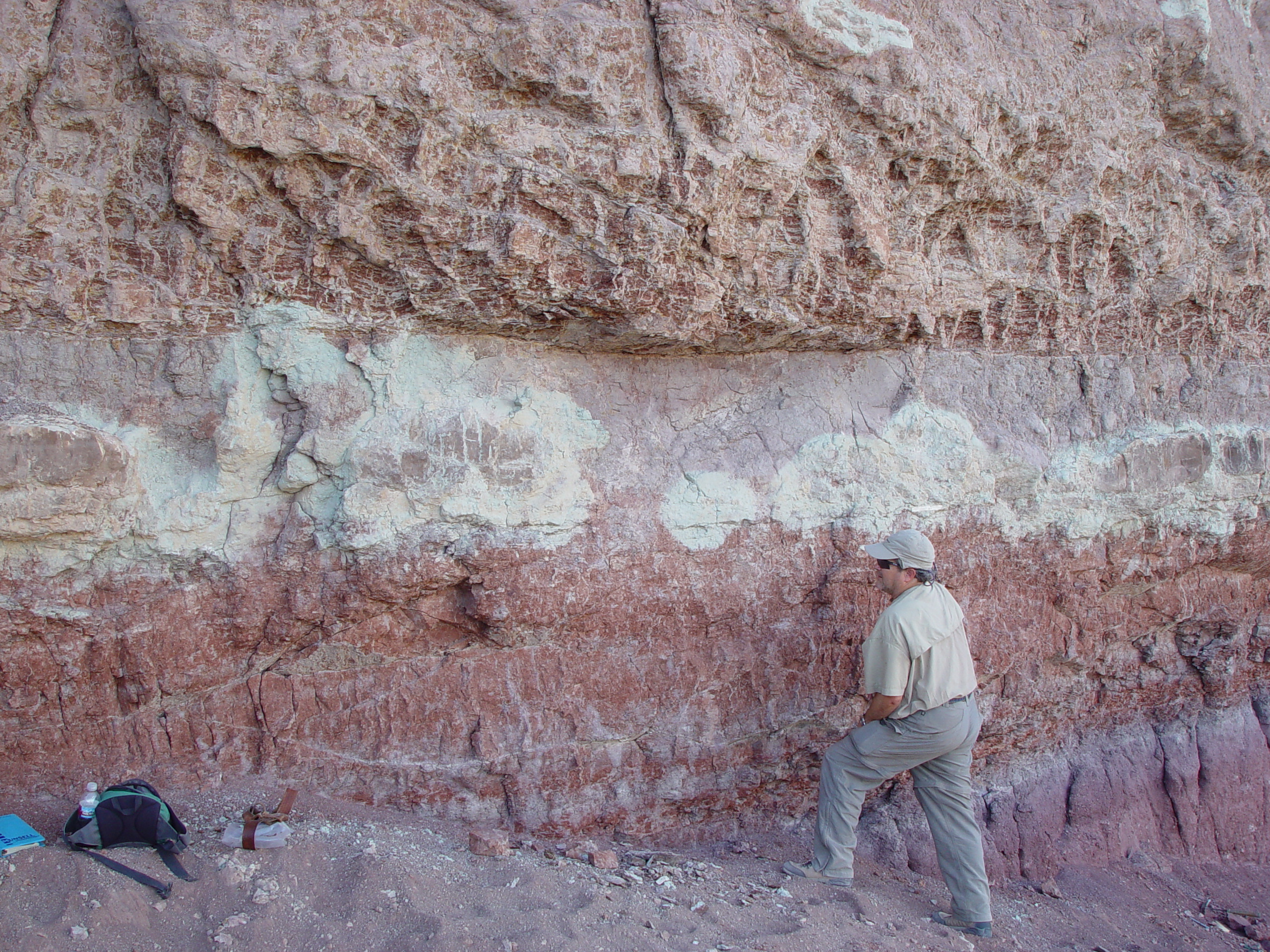 "Greg Ludvigson at outcrop of Yellow Cat Member in Utah."