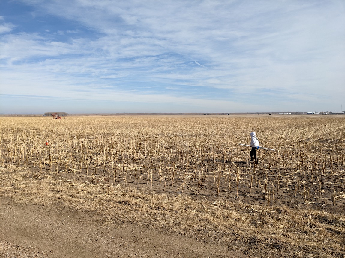 "A researcher collects data in a cornfield during winter"